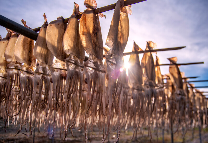 클립아트코리아