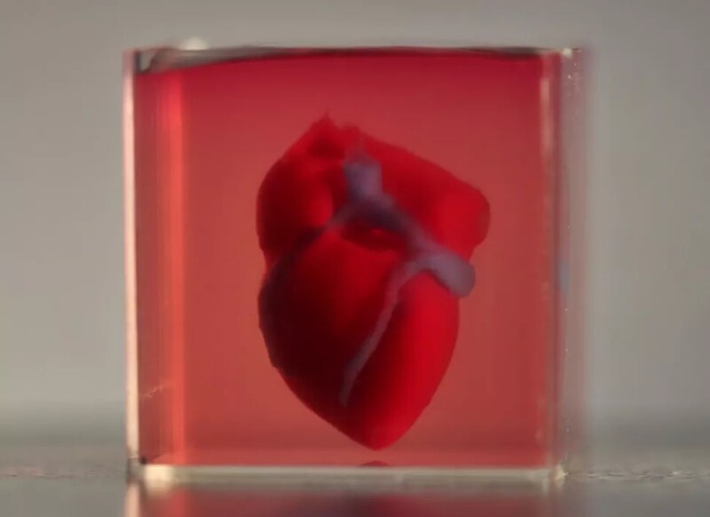 2019년 이스라엘 텔아비브대 연구진이 3D 프린팅으로 만든 인공 심장. 혈관구조까지 갖췄지만 박동은 하지 못했다. Advanced Science