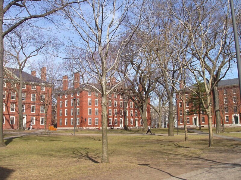 Harvard University campus (Wikimedia)