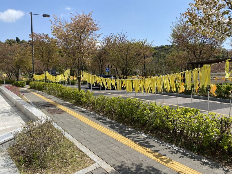 2021년 4월17일 인천시 부평구 인천가족공원 ‘세월호 일반인희생자 추모관’ 가는 길에 노란 리본들이 걸려 있다. 필자 제공