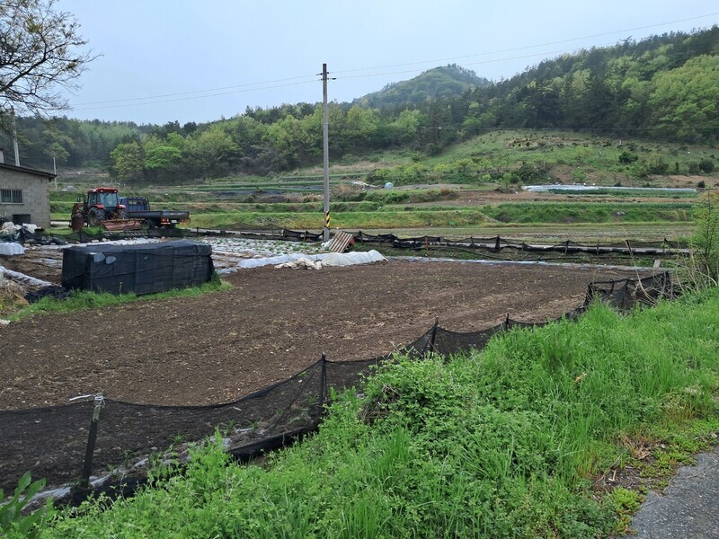 This field in a valley in Jindo, South Jeolla Province, was where civilians were massacred by police and soldiers during the Korean War. (Koh Kyoung-tae/The Hankyoreh)