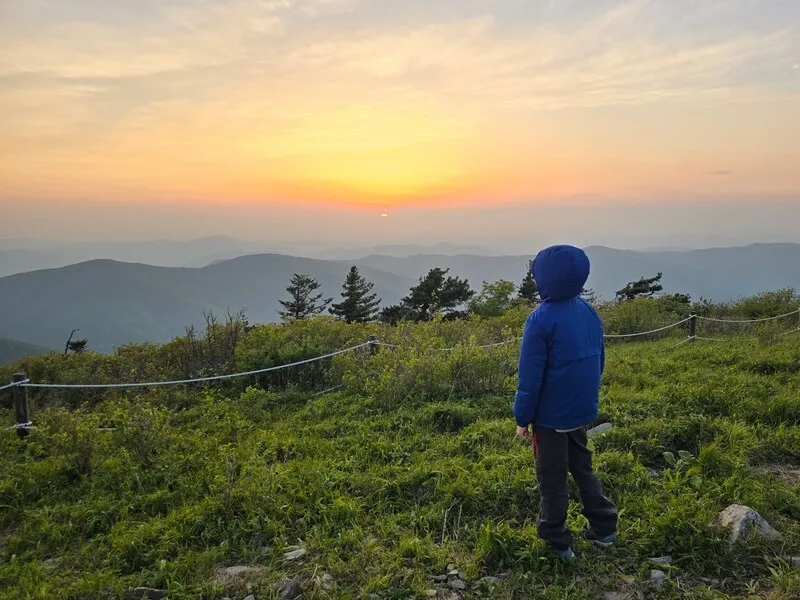 1500m 정상의 부자, 밤하늘 은하수 세례를 꿈꾸다 …