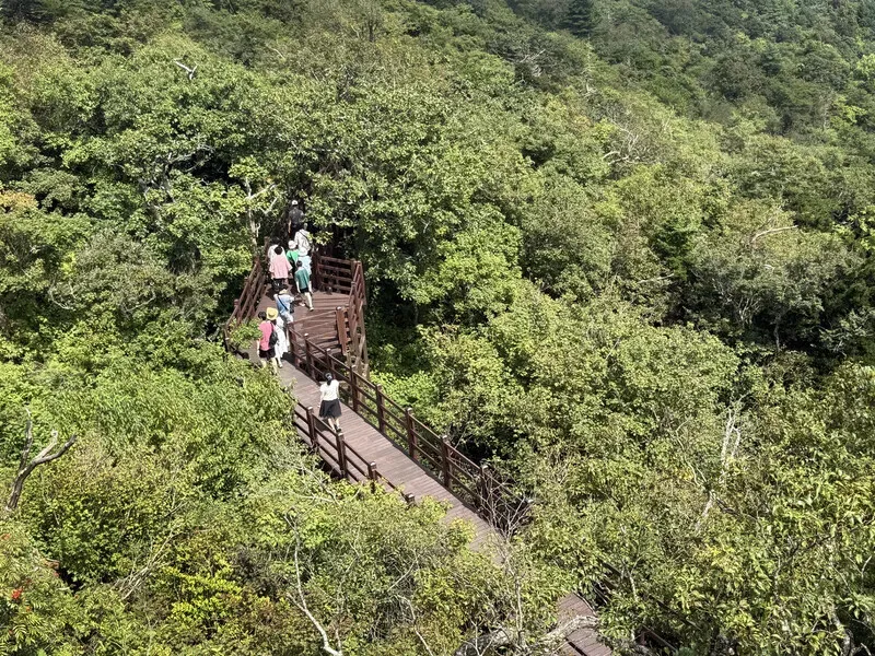 The wooden deck on Mount Balwang. (Park Mee-hyang/Hankyoreh)