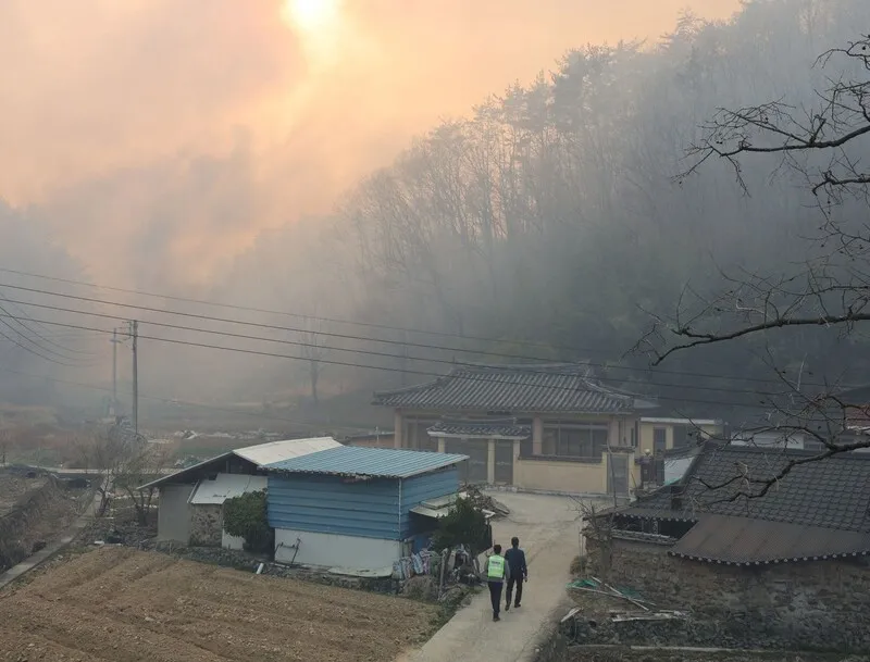 산불이 꺼져도 건강 재난은 남는다