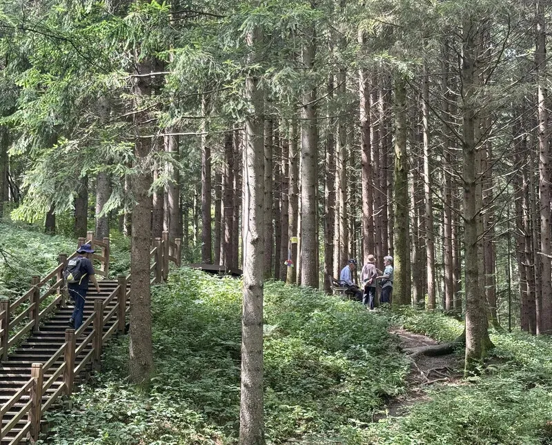 The People’s Forest is a hidden gem. (Park Mee-hyang/Hankyoreh)