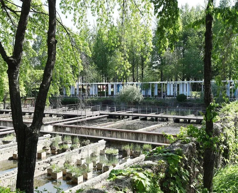 Some of the structure of the former water purification facility has been kept and reconfigured into reflecting pools and garden beds. (Park Mee-hyang/Hankyoreh)