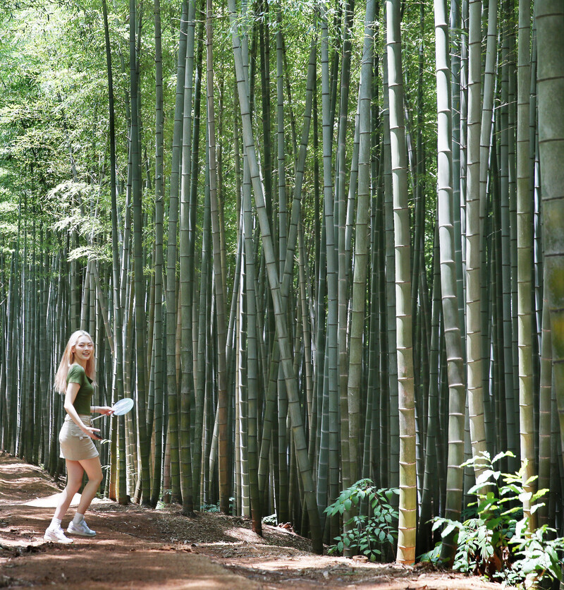 Yun Su-hyeon smiles as she walks through the bamboo grove at Ahopsan Forest in Busan’s Gijang County on July 21. (Park Mee-hyang/The Hankyoreh)