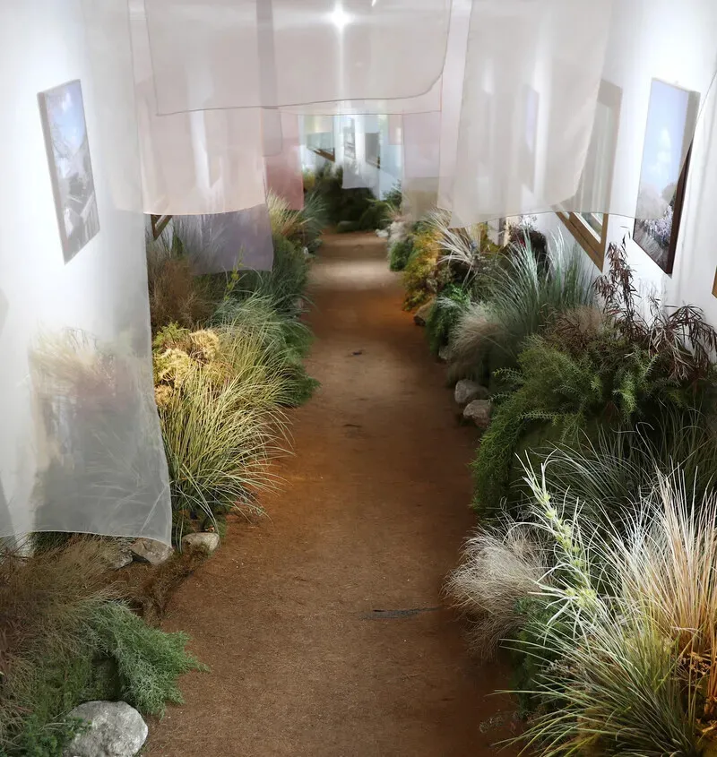To get to the hanok, visitors must pass through a corridor that has been reimagined as a gallery space. (Park Mee-hyang/Hankyoreh)