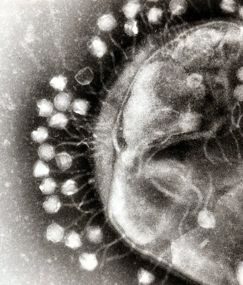 AI-created 'virus not found in nature'... "An expansion of biotechnology and a threat to humanity"