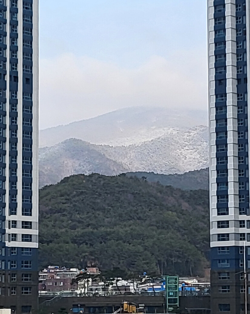 2022 다시 찾아온 겨울