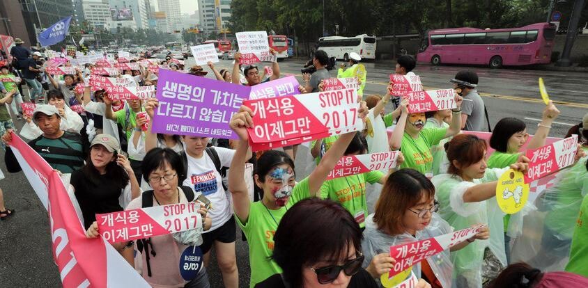 Members of animal rights groups CARE and Korean Animal Welfare Association march after an event titled Stop It 2017 at Seoul Plaza in front of City Hall