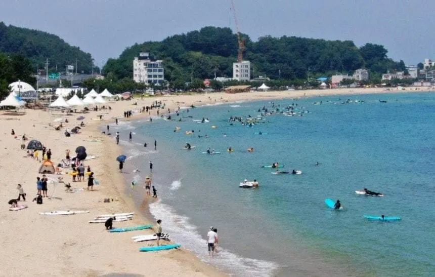 온라인 루머에 지역 경제 타격 심각…양양군, 유포자 찾…