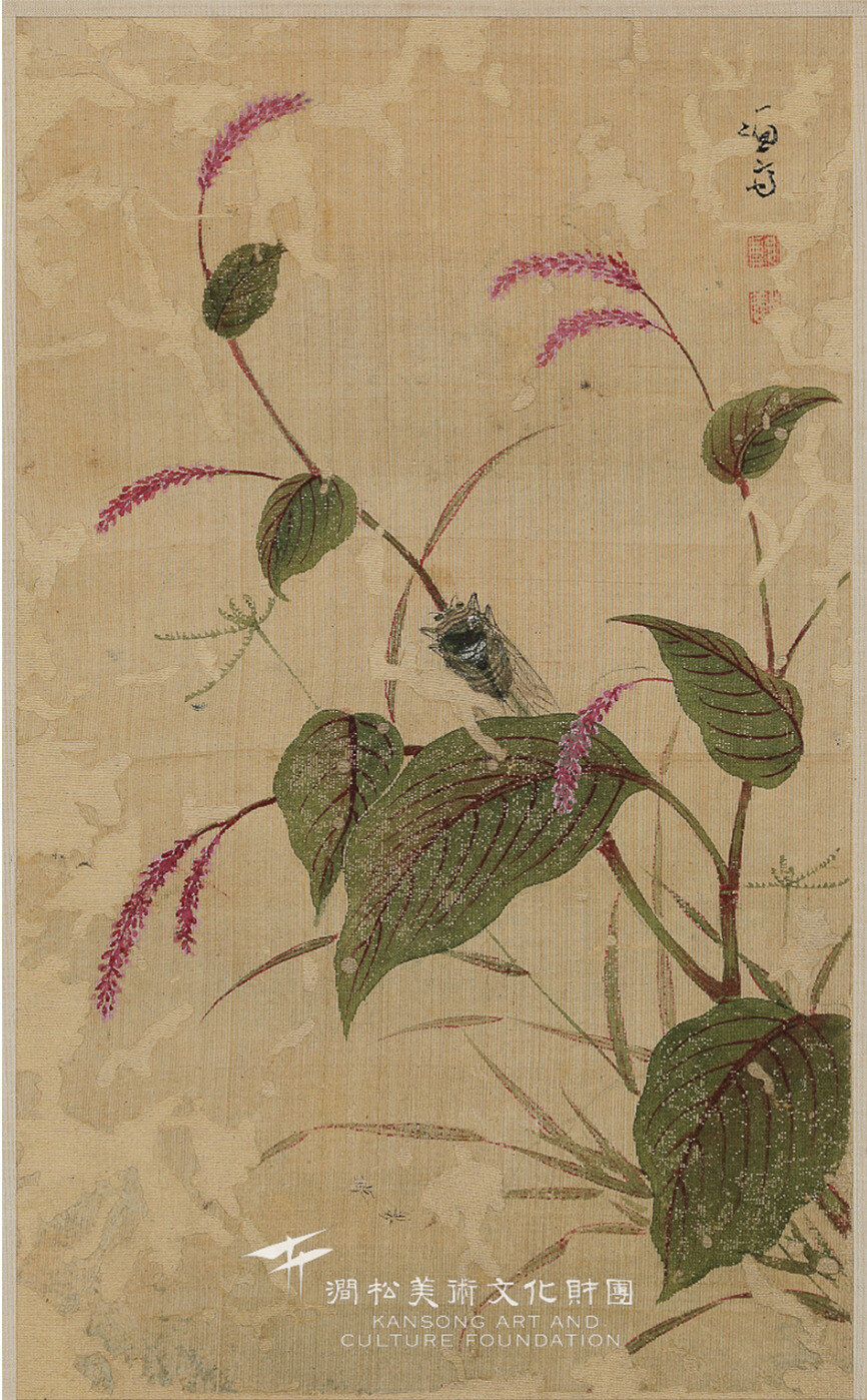 겸재 정선이 그린 `홍료추선’(紅蓼秋蟬). 한자 그대로 ‘붉은색의 여뀌’(紅蓼)와 ‘가을의 매미’(秋蟬)를 그렸다. 우리말로 풀어쓴 또 다른 제목은 `여뀌와 매미'다. 잎이 둥글고 잎맥이 두드러지는 쪽의 형태학적 특징을 세밀하게 그렸다. 여뀌 너머 바랭이가 한들거린다. 출처 간송미술관