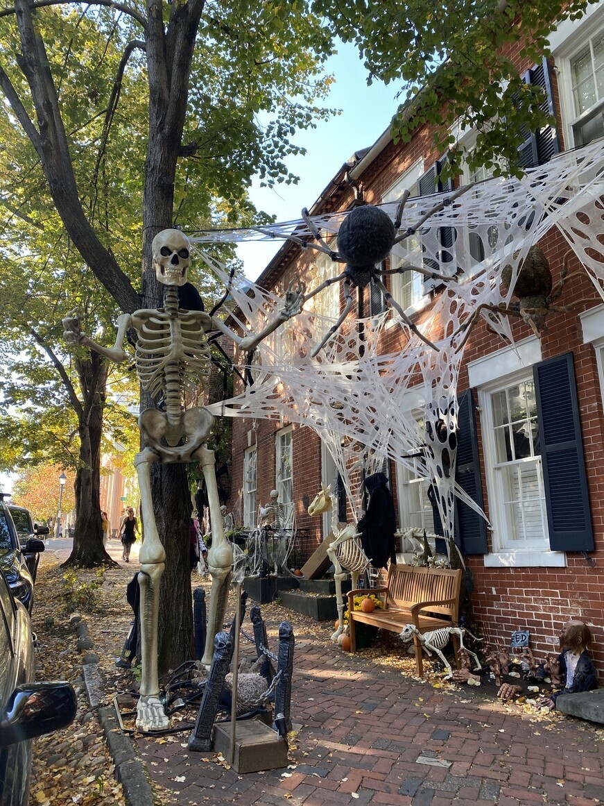 Halloween decor including a towering skeleton and faux cobwebs sit outside a home in the Old Town district of Alexandria, VA, on Oct. 13. (Choi Sung-jin/The Hankyoreh)