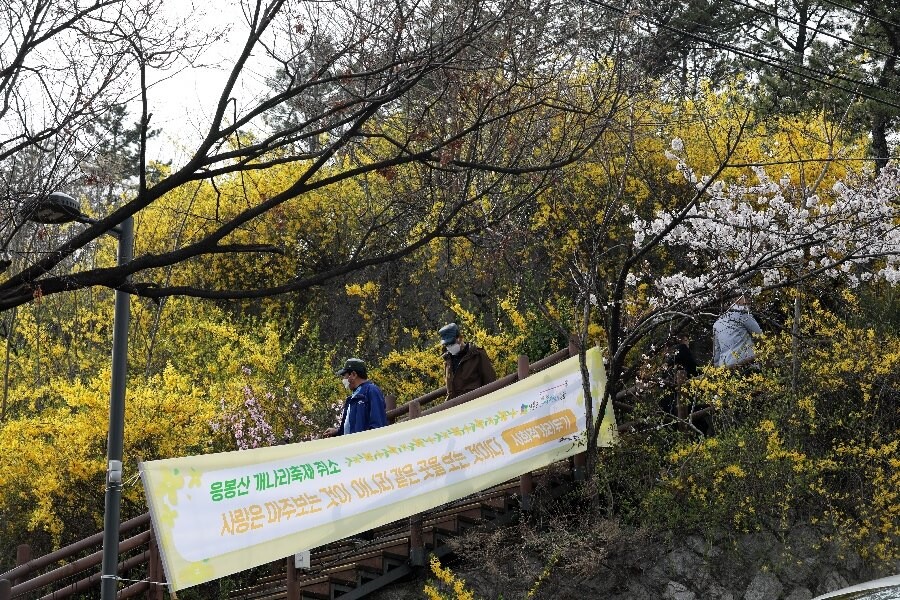 개나리와 매화, 벚꽃이 꽃망울을 터뜨렸지만, 코로나19 확산을 막으려 봄꽃 축제가 취소된 서울 성동구 응봉산에서 3월31일 시민들이 마스크를 쓴 채 꽃길을 걷고 있다.