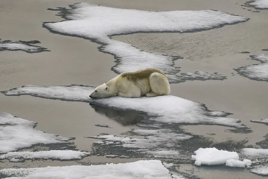 IPCC 기후보고서 일정 불투명… 과학자 180명 “지체할 시간 없다” 공개서한