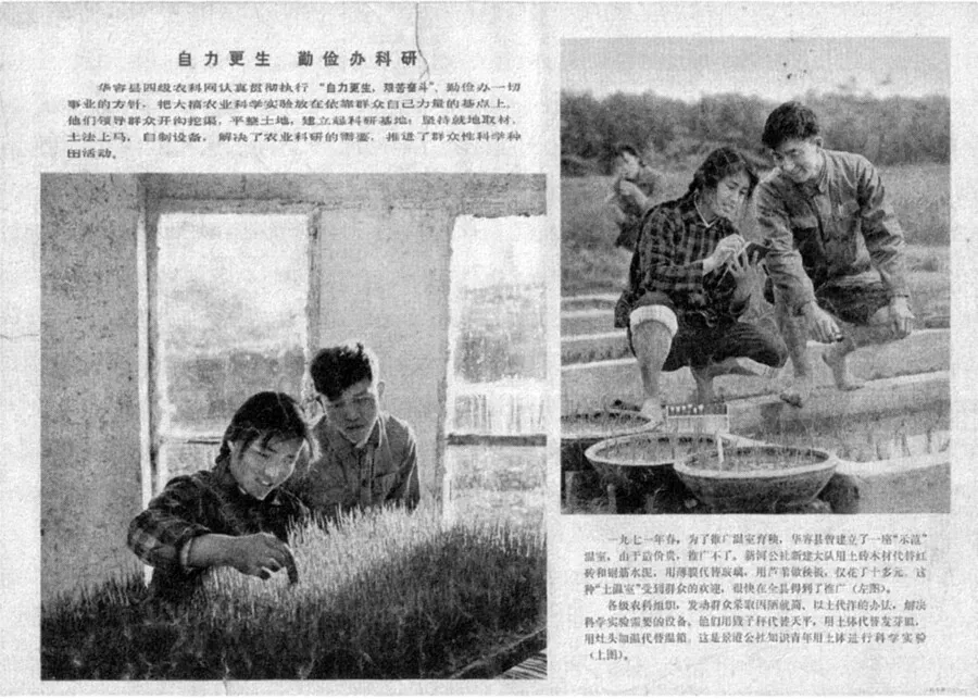 적색과 녹색 사이, 마오 시대 ‘토’의 과학 담론 [.…