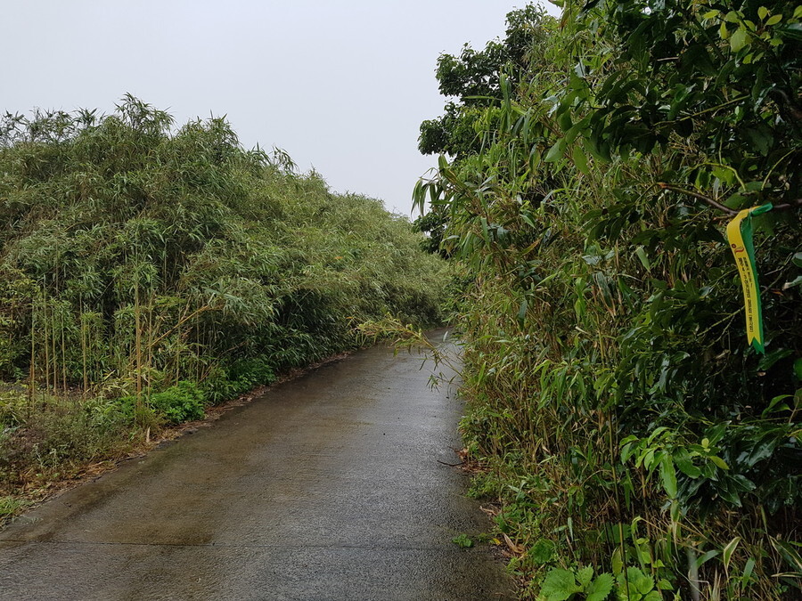 A road that leads to where Darangshui Village once stood