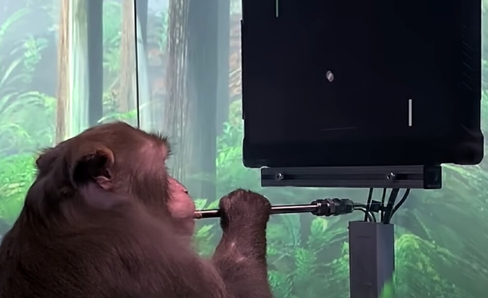 일론 머스크가 설립한 뉴럴링크가 2021년 4월 공개한 뇌-컴퓨터 연결 연구의 성과로, 뇌에 전자칩을 심은 원숭이가 손을 쓰지 않고 생각만으로 비디오게임 ‘퐁’을 하는 동영상이다. 뉴럴링크 제공