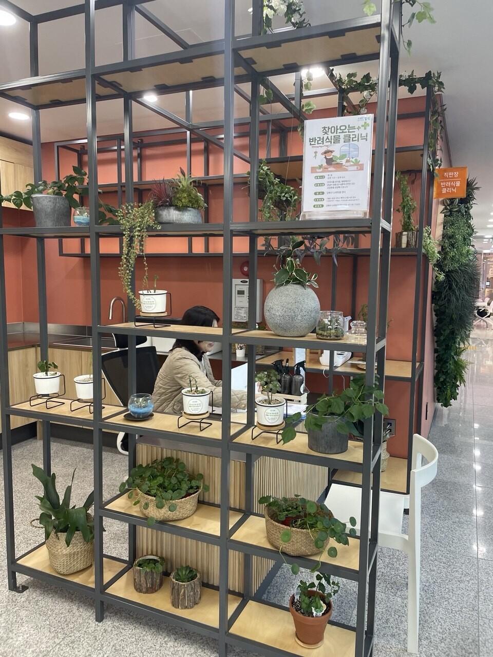 강북스마트팜센터에 있는 ‘찾아오는 식물 클리닉’은 예약제로 운영하며, 문제 진단부터 병해충 처방, 분갈이까지 모두 무료다.