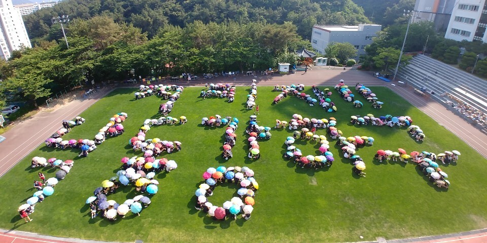 박중록 위원장의 교사 퇴임식을 앞두고 ‘세계 환경의 날'인 2019년 6월5일 부산 대명여고 학생들이 학교 운동장에서 ‘지키자!! 낙동강 하구’라는 ‘우산 섹션’을 펼쳐 보이고 있다. 박중록 제공