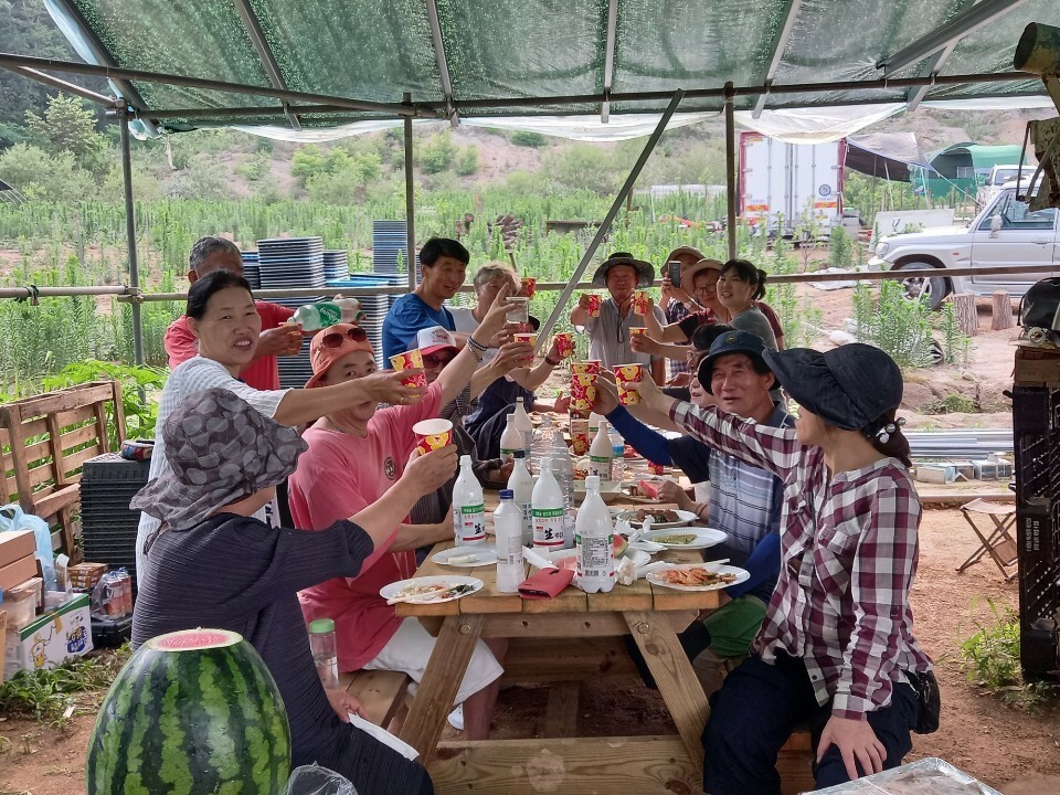 지난 6월25일 단오축제 때 어울려 함께하는 얼쑤농장 회원들. 얼쑤농장 제공