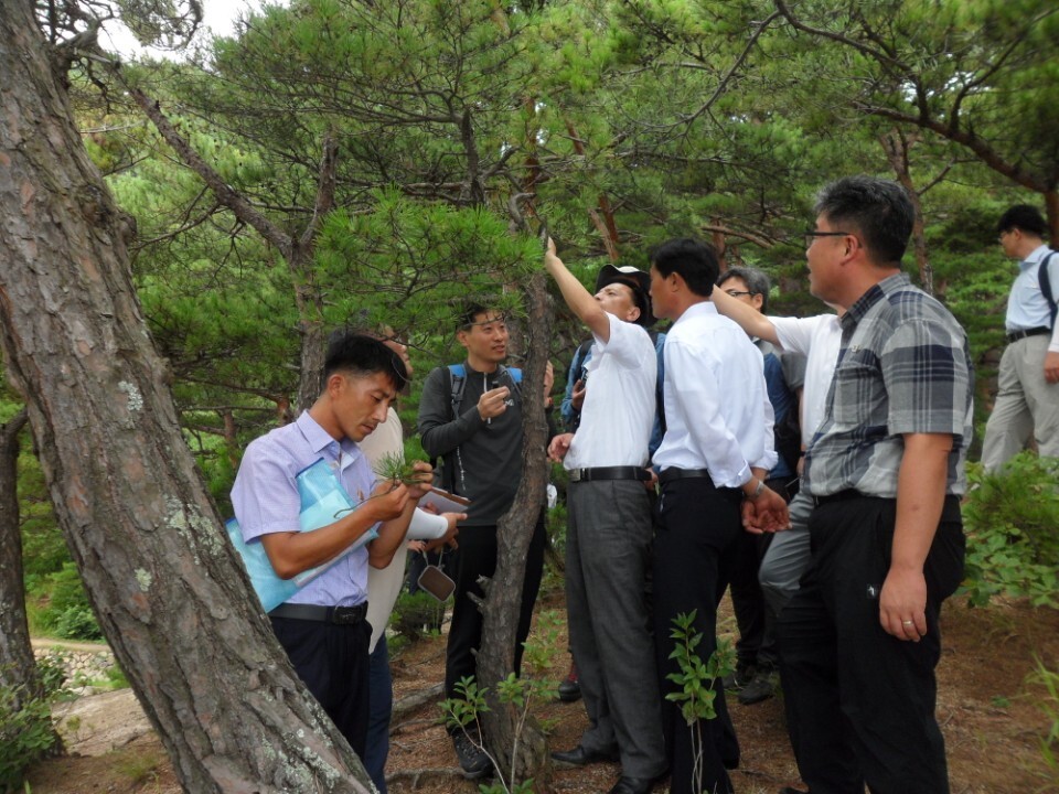 South and North Korean forestry officials investigate tree pests and discuss possible solutions near Lake Samilpo in the Mt. Kumgang region on Aug. 8. (provided by the Ministry of Unification)
