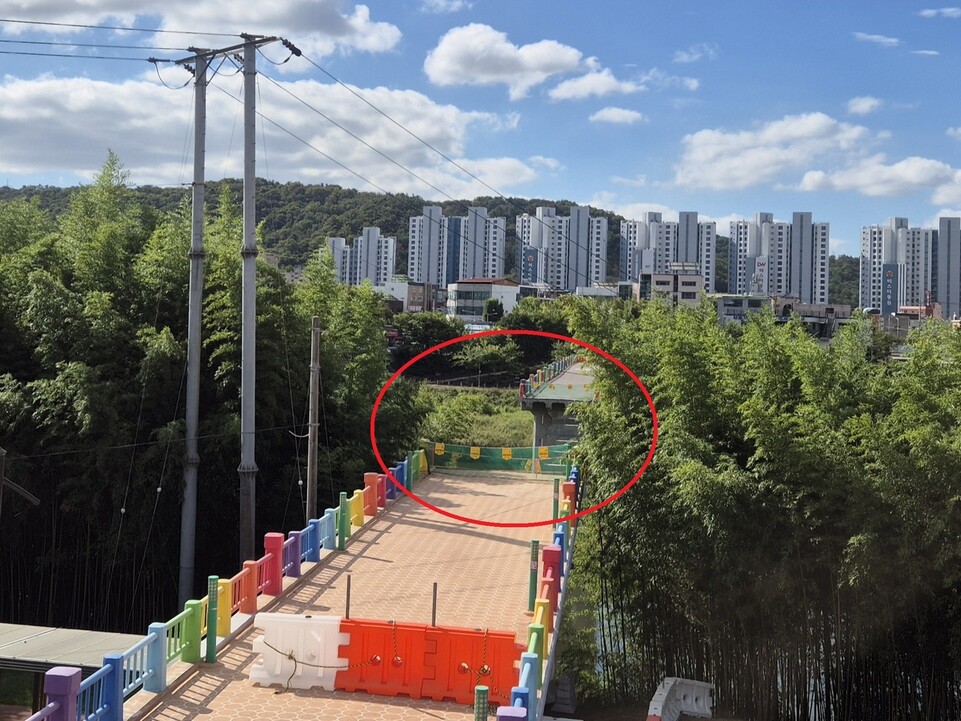 지난 23일 울산 태화강을 가로질러 중구 다운동과 남구 삼호동을 잇던 옛 삼호교가 1년 넘게 끊겨 있다. 중구청은 지난해 7월 폭우로 불어난 물살을 견디지 못하고 무너진 이 다리의 붕괴 구간을 지난 6월 철거했다. 주성미 기자