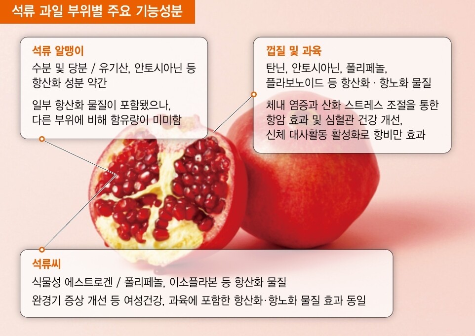 항산화 식품 의미 항산화 효과