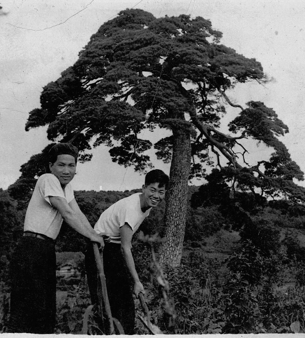 ‘자진녹화대’를 꾸려 나무심기운동을 벌인 이십 대의 백기완 선생(오른쪽)이 1957년 강원도 양양에서 나무를 심고 있다.