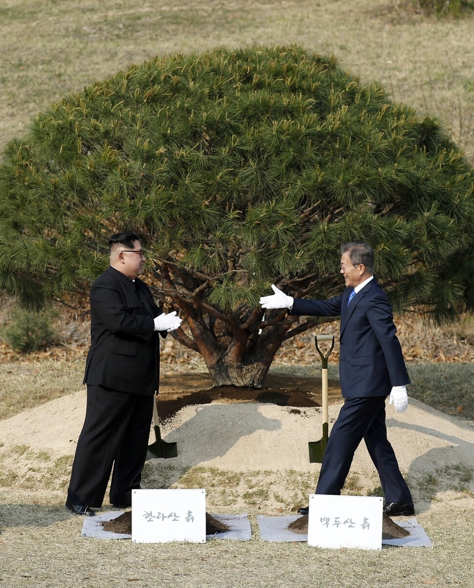 문재인 대통령과 김정은 국무위원장이 고 정주영 현대그룹 회장이 소떼를 몰고 방북했던 군사분계선 인근 ‘소떼 길’ 위에 1953년생 소나무를 심은 뒤 악수하기 위해 다가서고 있다.