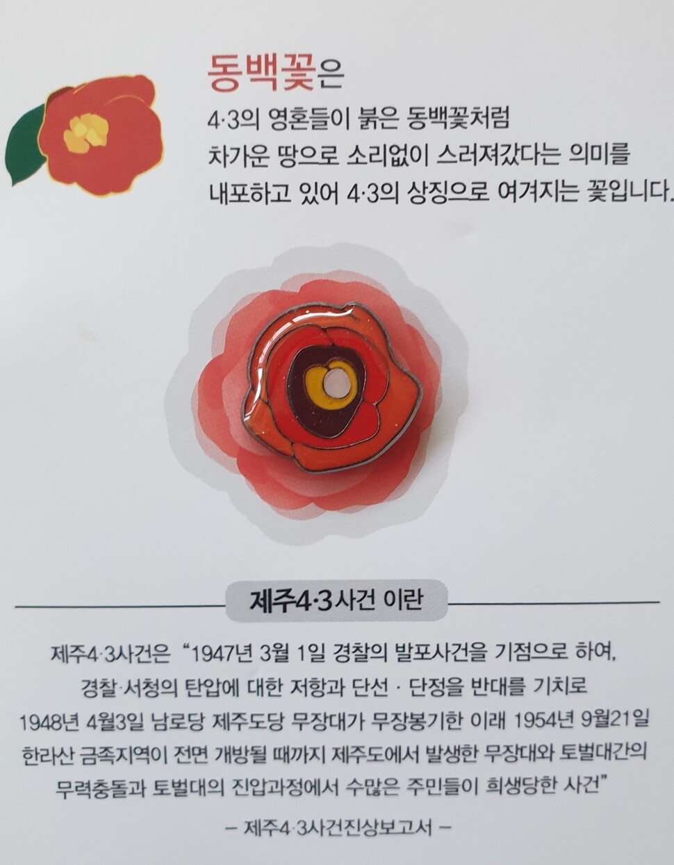 동백꽃 배지. 제주 서귀포시청