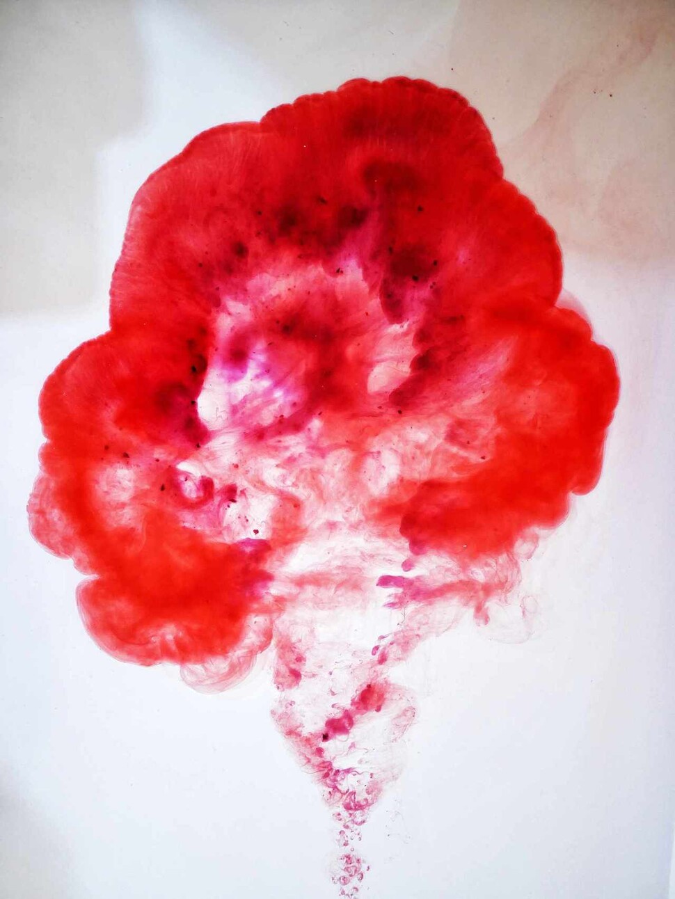 5월28일 세계 월경의 날을 맞아 월경과 폐경(완경)에 대한 다양한 접근과 인식 전환이 필요하다는 의견이 나온다. 출처 Vulvani.com