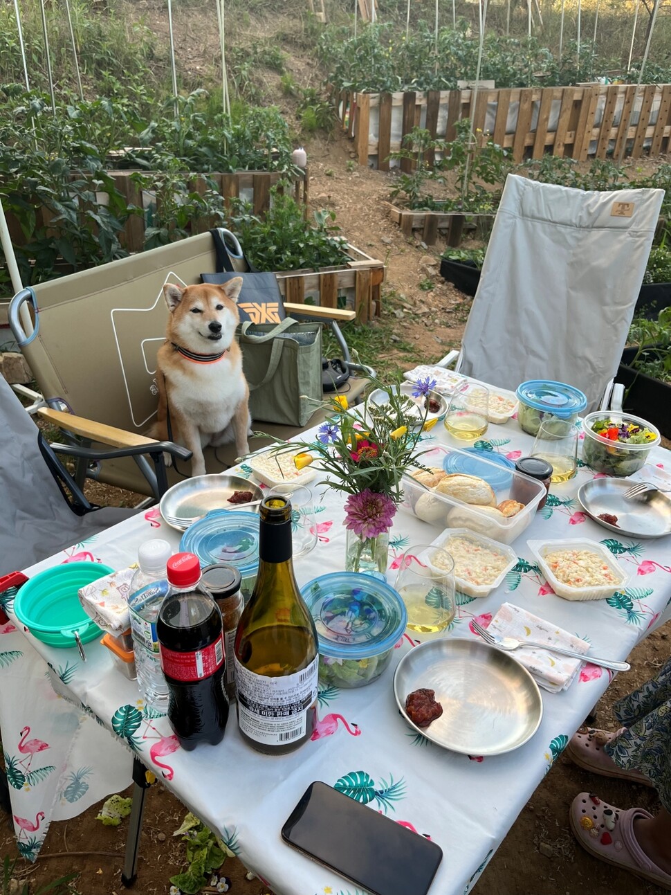 건설이 완료된 밭. 밭에 자리를 펴고 원하던 바비큐 파티를 할 수 있었다.