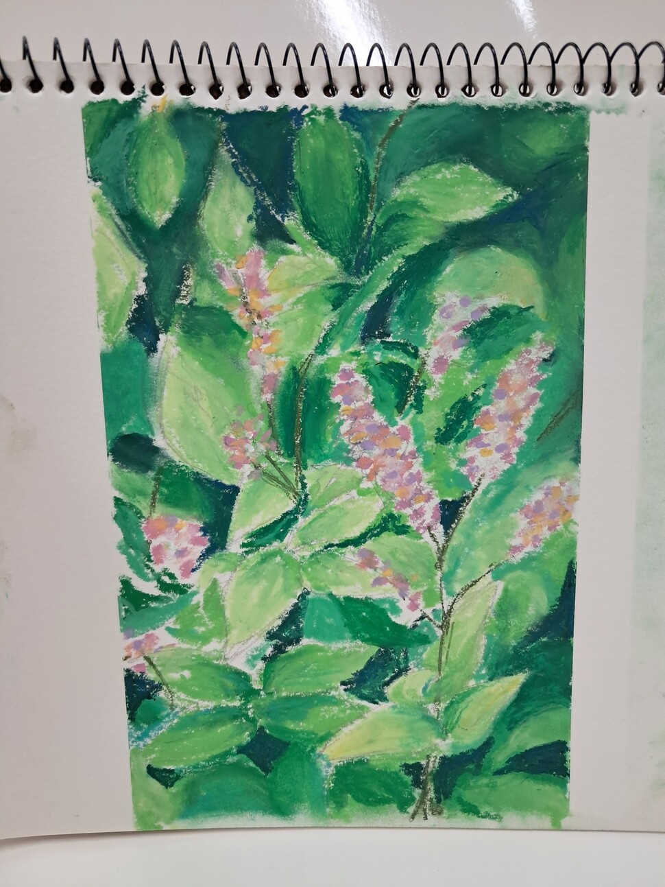 쪽. 일러스트레이션 차지우