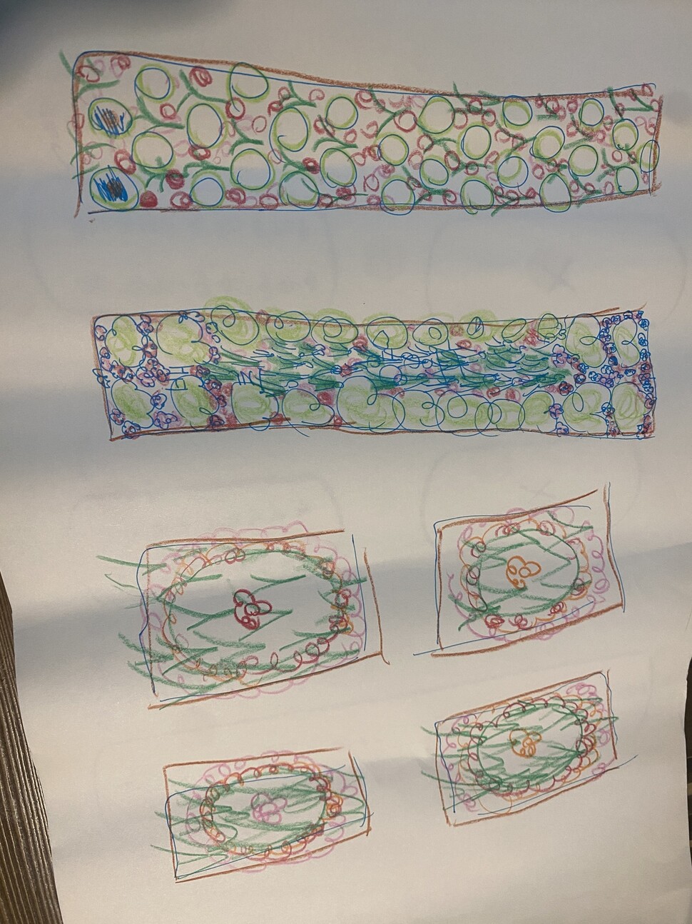 생태수업 시간에 지혜학교 학생이 디자인한 밭.