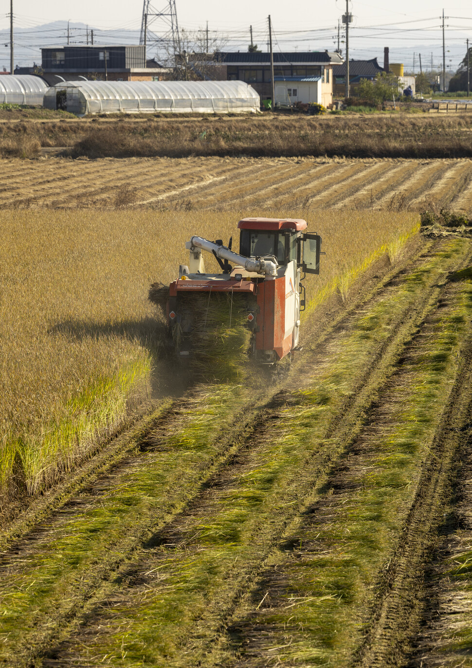 2025년 11월3일 오후 충남 예산 들녘에서 마지막 가을걷이가 한창이다. 김진수 선임기자 jsk@hani.co.kr