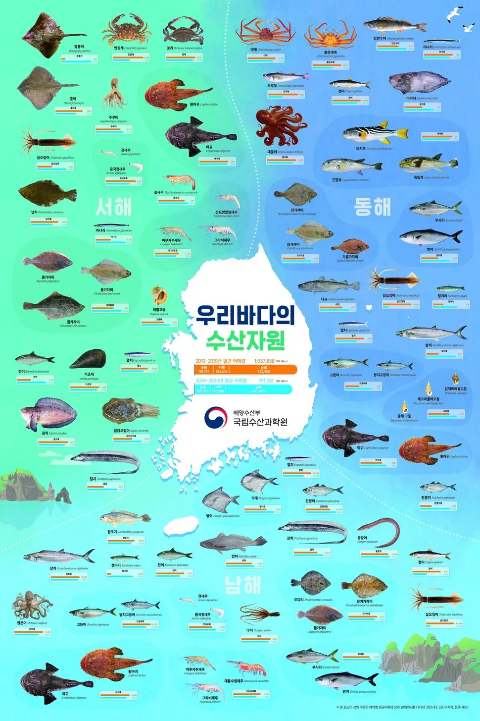 국립수산과학원, '우리 바다 수산자원' 알림글 배포 - 뉴스 썸네일 이미지