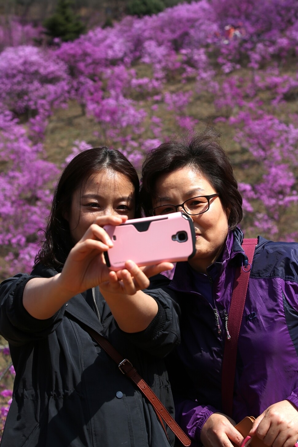 경기도 부천시 원미구 원미산 진달래동산을 찾은 모녀가 사진을 찍고 있다.