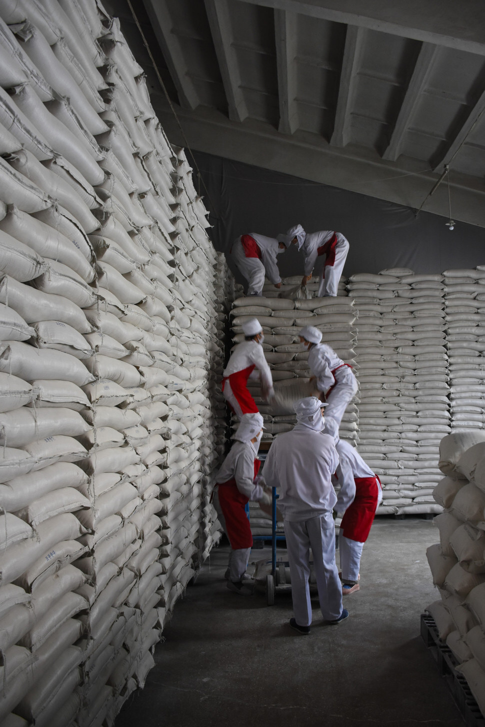 WFP Workers stockpile rice at a World Food Programme (WFP) storage facility in Pyongyang in 2016. (provided by the WFP)