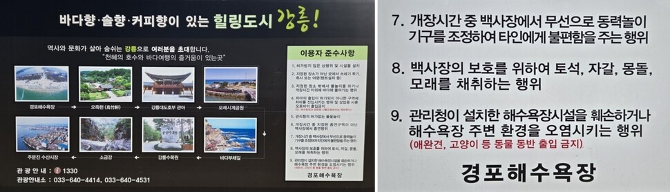 동물 동반 출입금지 내용이 적혀 있는 경포해수욕장 안내판 모습. 연합뉴스
