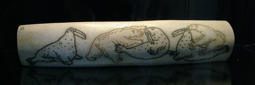 Engraving, made by Chukchi carvers in the 1940s on a walrus tusk, depicts a polar bear hunting a walrus. (Wikimedia Commons)