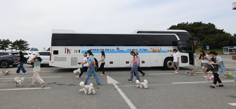 꽃지해수욕장 앞 주차장에 세운 댕댕버스에서 내린 반려견과 반려인들이 해변으로 향하고 있다.