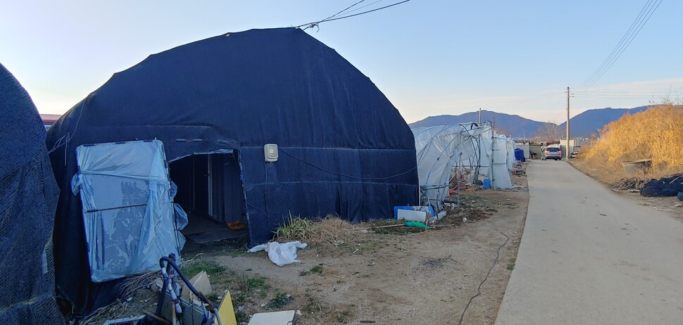 경기도 포천의 한 채소농장에 외국인 이주노동자의 숙소로 제공된 비닐하우스 기숙사. 조일준 기자