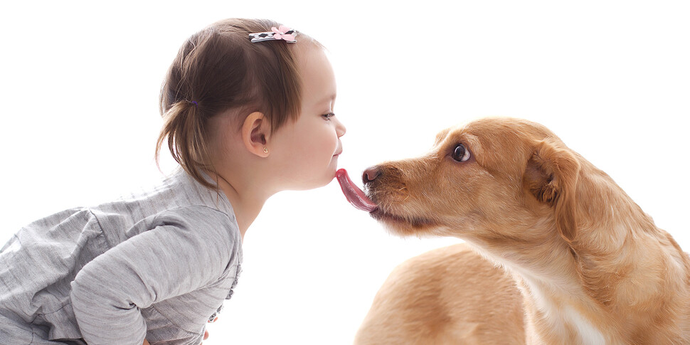 사람은 유아 때부터 사람뿐 아니라 다른 동물을 자발적으로 돕는 성향이 있음이 개를 이용한 실험에서 밝혀졌다.<BR> 게티이미지뱅크