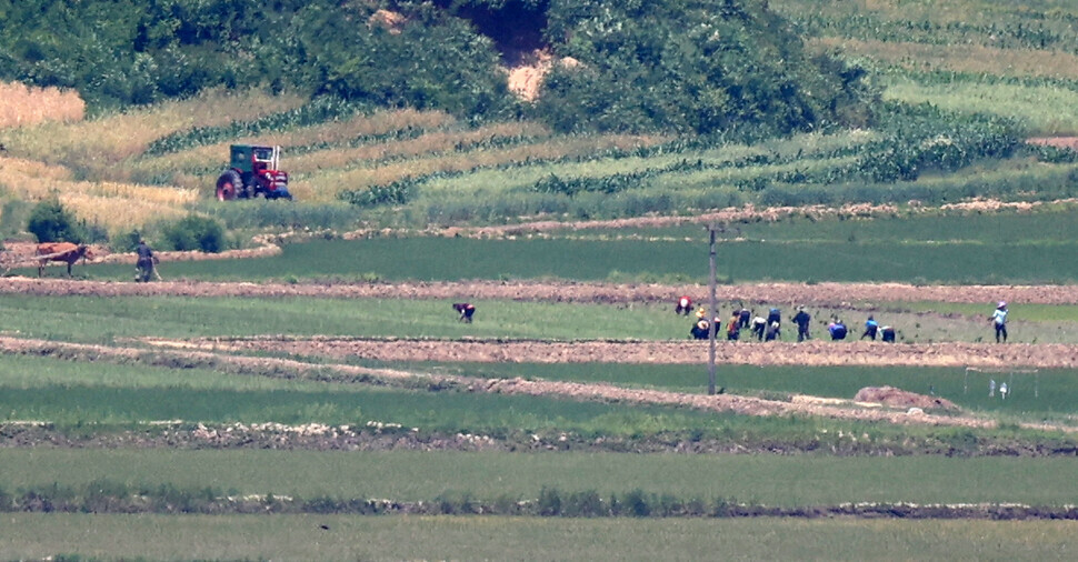 North Korean residents can be seen working in the rice fields. (Kim Hye-yun/The Hankyoreh)