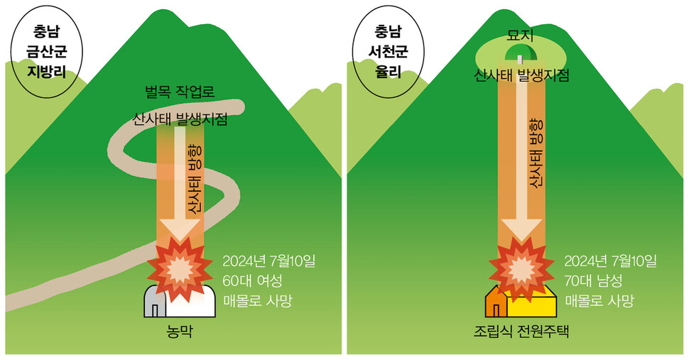 그래픽 디자인주