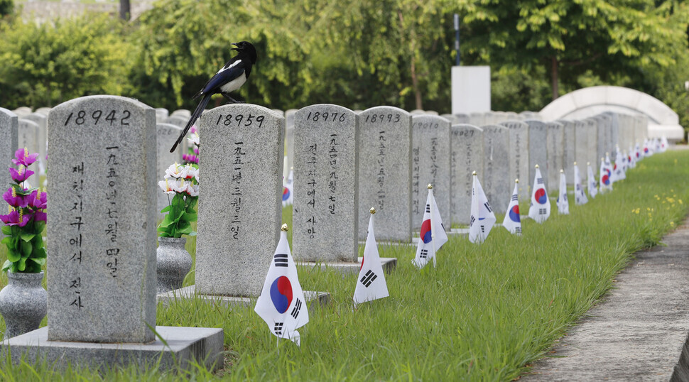 A magpie guards graves of soldiers killed in the Korean War at the national cemetery in Seoul on Thursday. (Kim Hye-yun/The Hankyoreh)
