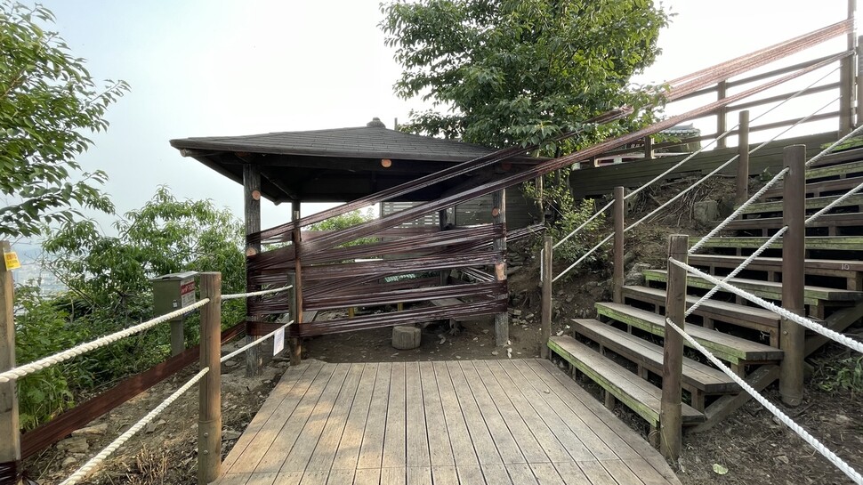 2025년 7월6일 인천 계양구 계양산 등산로에 설치된 끈끈이롤트랩. 이 트랩엔 러브버그 외 다른 다양한 곤충까지 붙어 피해를 입었다. 새 깃털이 뽑힌 흔적도 확인됐다. 봉산생태조사단 제공