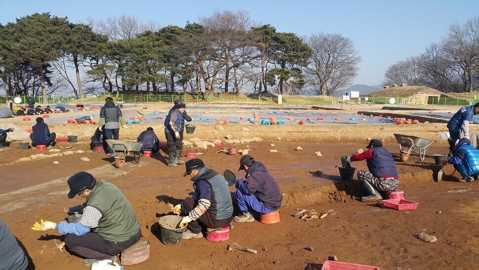 경주 월성 유적 조사 현장에서 조사원들이 표토를 걷어내고 있는 모습. 노형석 기자